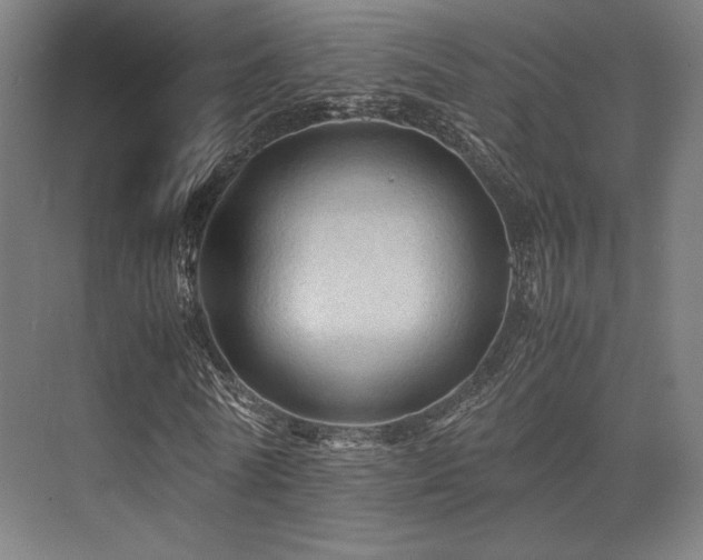 X0000075820770200609151211