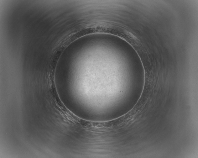 X0000075820774200609151211