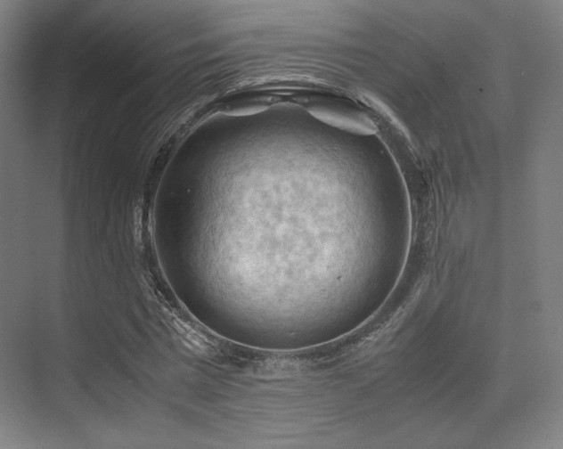 X0000075820777200609151211