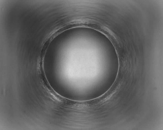 X0000075820778200609151211