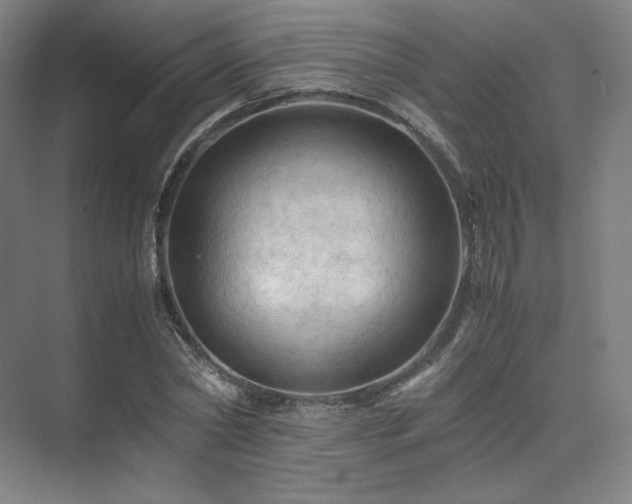 X0000075820782200609151211