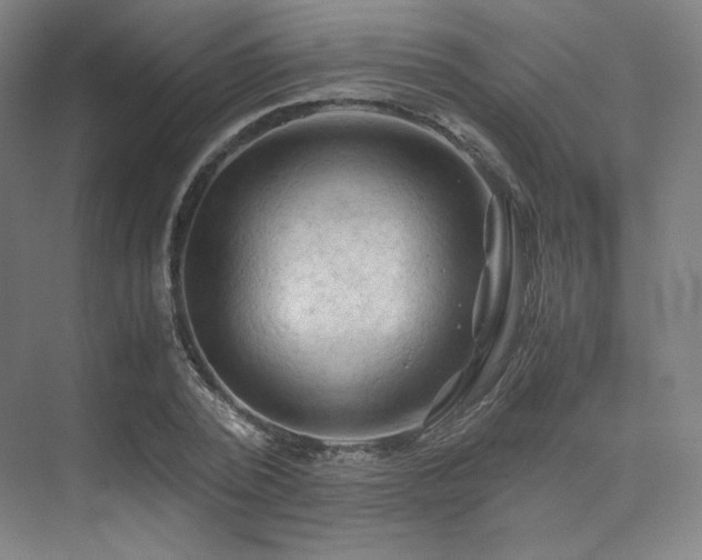 X0000075820784200609151211