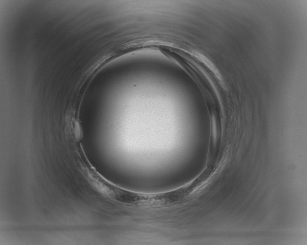 X0000075820793200609151211