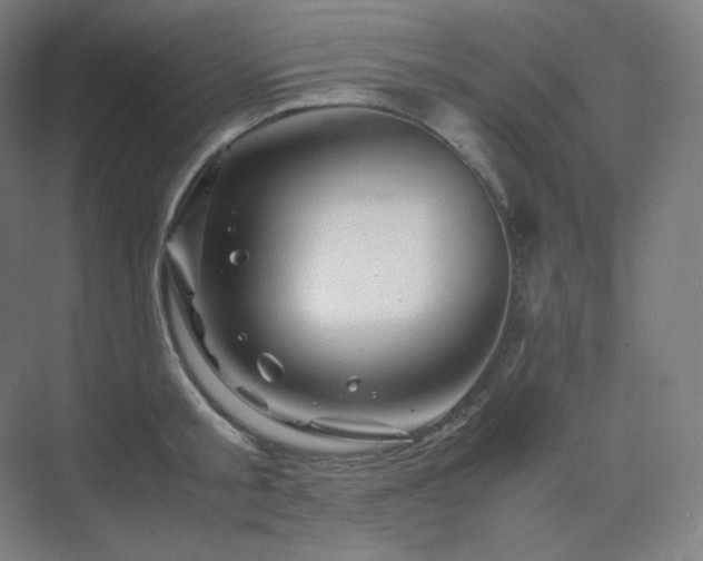 X0000075820805200609151211