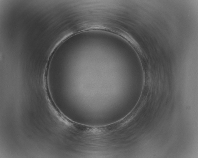 X0000075820806200609151211
