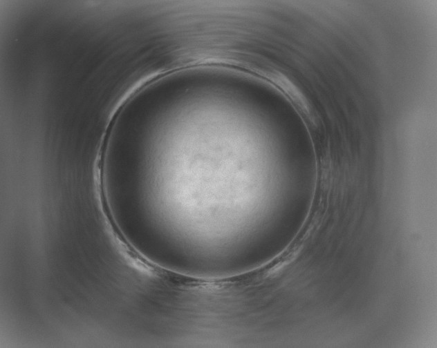 X0000075820814200609151211