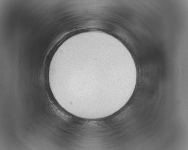 X0000075820828200609151210
