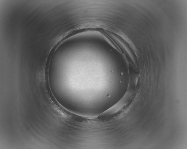 X0000075820834200609151210