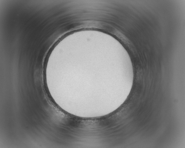 X0000075820836200609151210