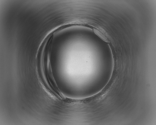 X0000075820838200609151210