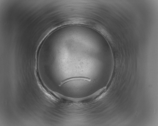 X0000075820844200609151210