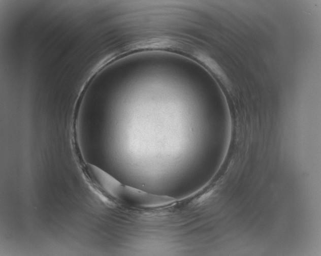 X0000075820850200609151210