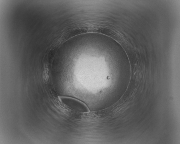 X0000075820866200609151210