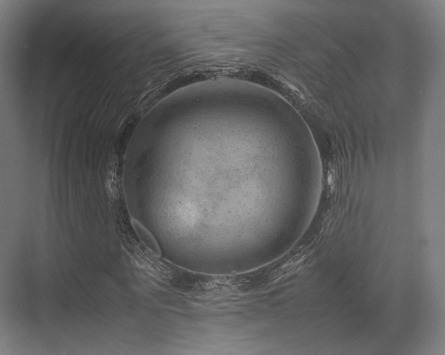 X0000075820867200609151210