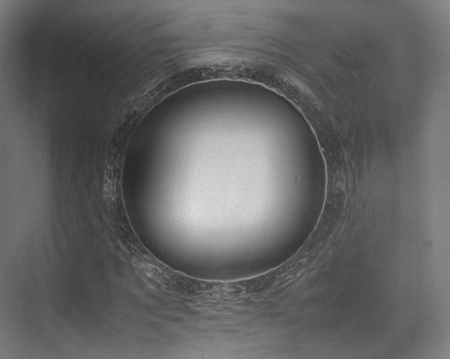 X0000075820869200609151210