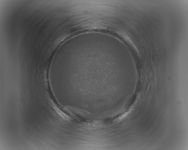 X0000075820881200609151209