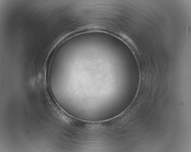 X0000075820886200609151209