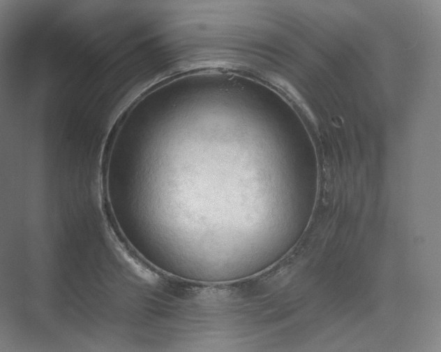 X0000075820890200609151209