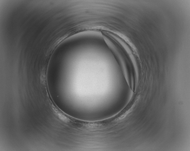 X0000075820897200609151209