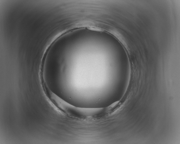 X0000075820901200609151209