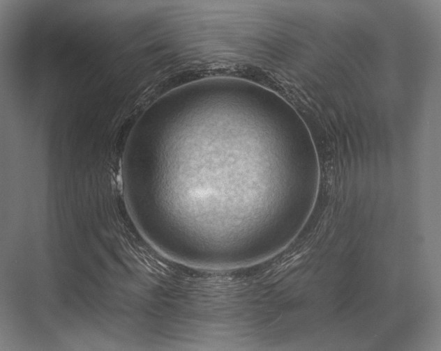 X0000075820916200609151208