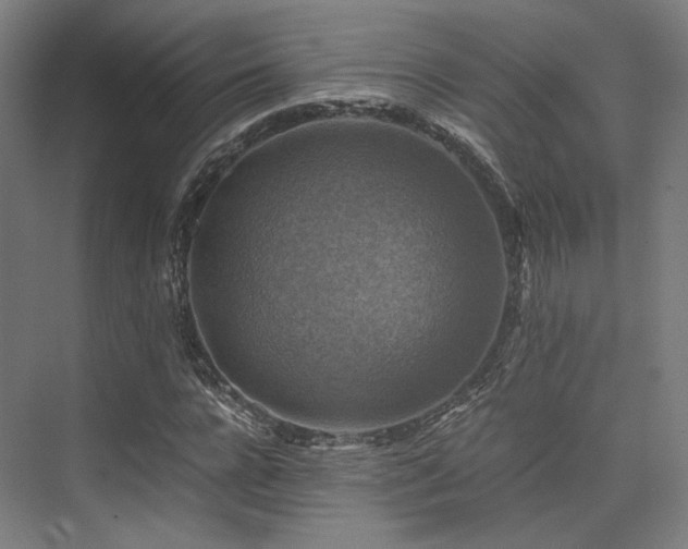 X0000075820920200609151208