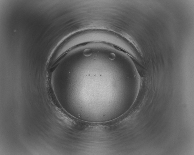 X0000075820926200609151208