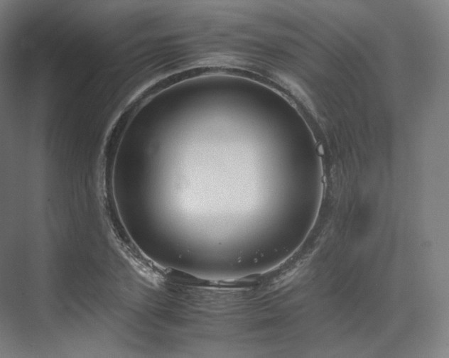X0000075820931200609151208