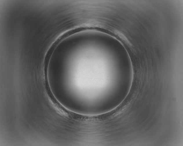 X0000075820934200609151208