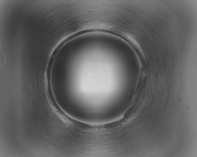 X0000075820936200609151209