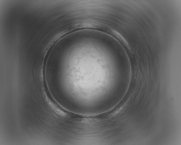 X0000075820938200609151209
