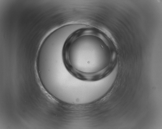X0000075820952200609151209