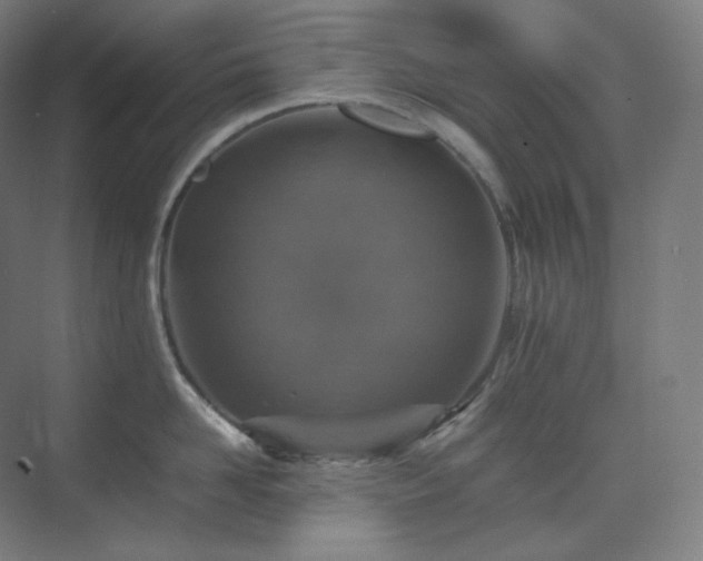 X0000075820958200609151209