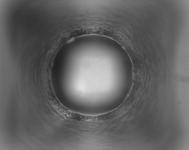 X0000075820961200609151208