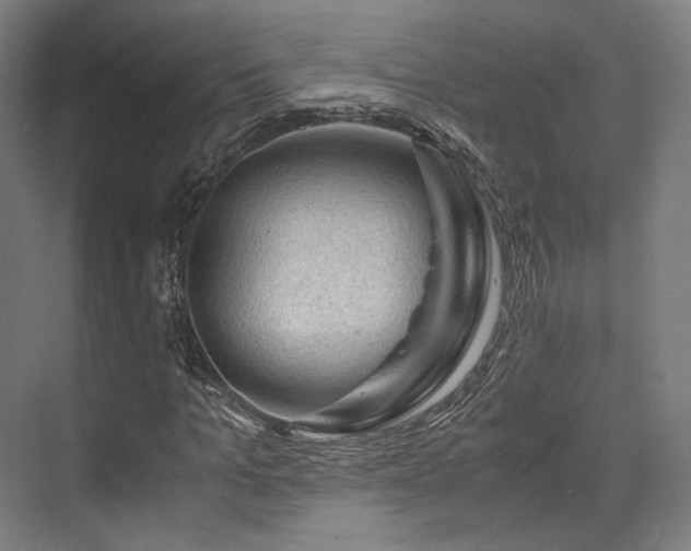 X0000075820965200609151208