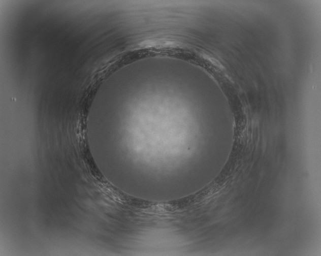X0000075820966200609151208