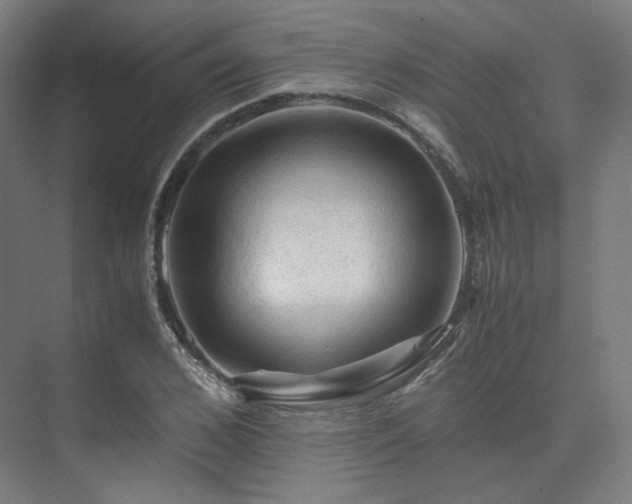 X0000075820976200609151208