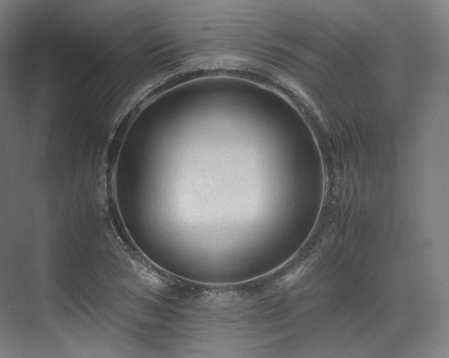 X0000075820978200609151208