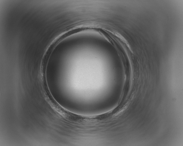 X0000075820981200609151208