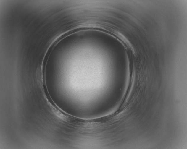 X0000075820988200609151208