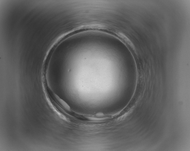 X0000075820989200609151208