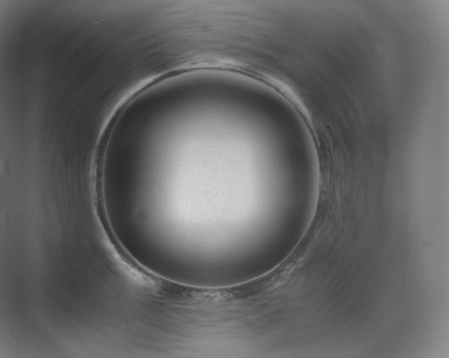 X0000075821003200609151207