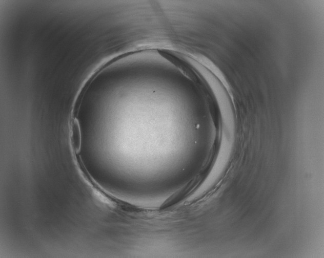 X0000075821005200609151207