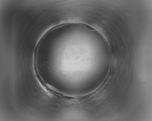 X0000075821006200609151207