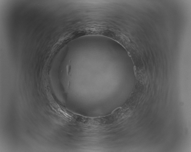 X0000075821009200609151207