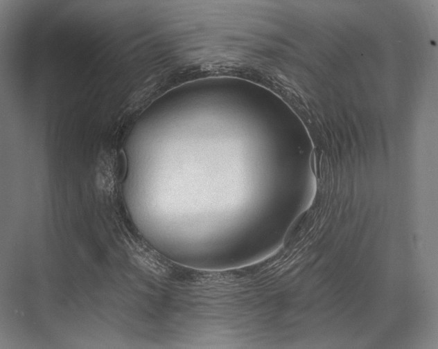 X0000075821012200609151207
