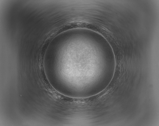 X0000075821014200609151207
