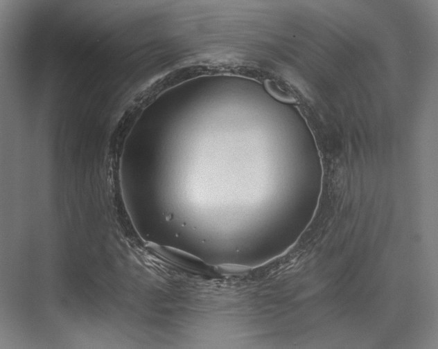 X0000075821016200609151207