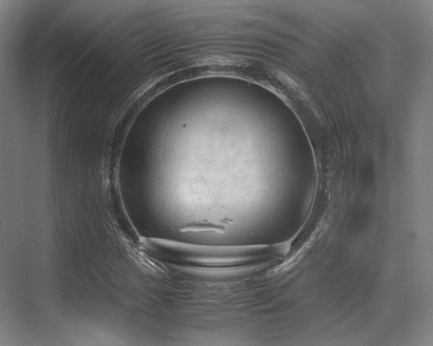 X0000075821017200609151207
