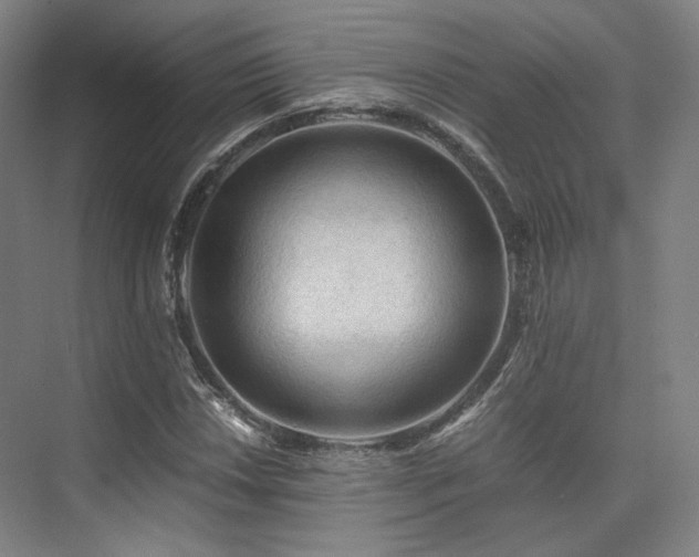 X0000075821018200609151207